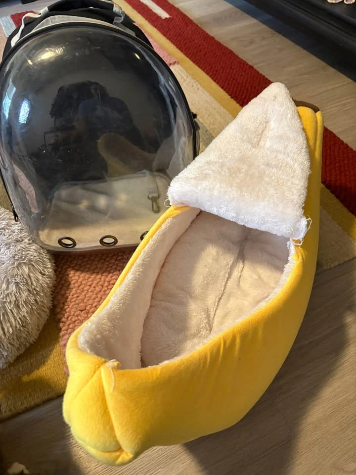 Cat Stuff Bundle – Beds, Backpack, Sweater & Bowls - photo 3