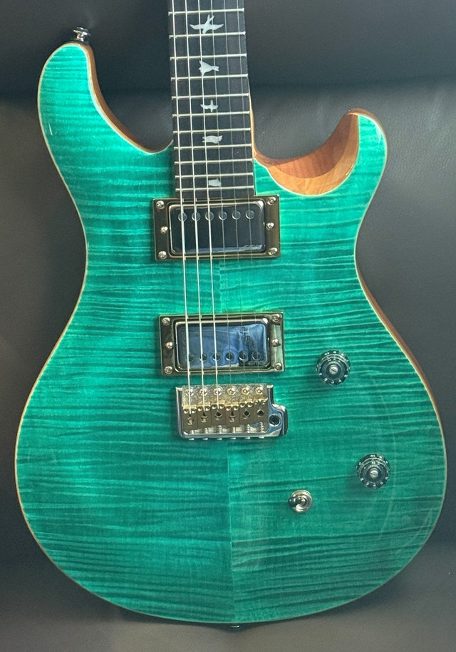 PRS SE CE 24 (Modded) - photo 2