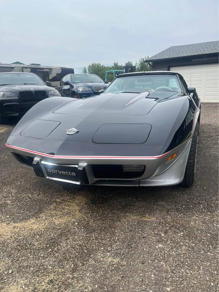 1979 Chevrolet Corvette - photo 2