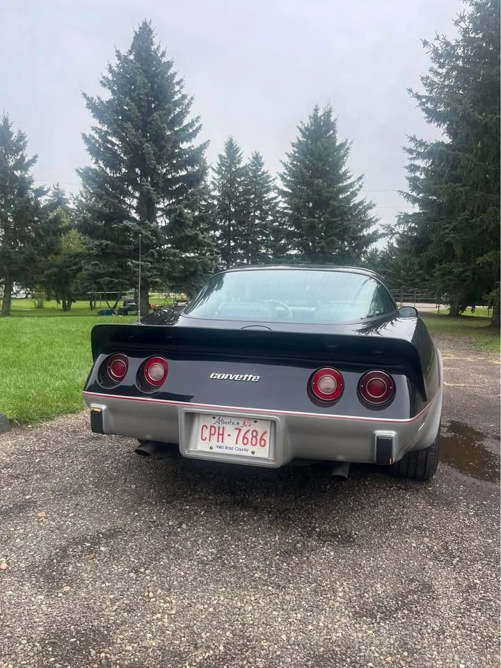 1979 Chevrolet Corvette - photo 3