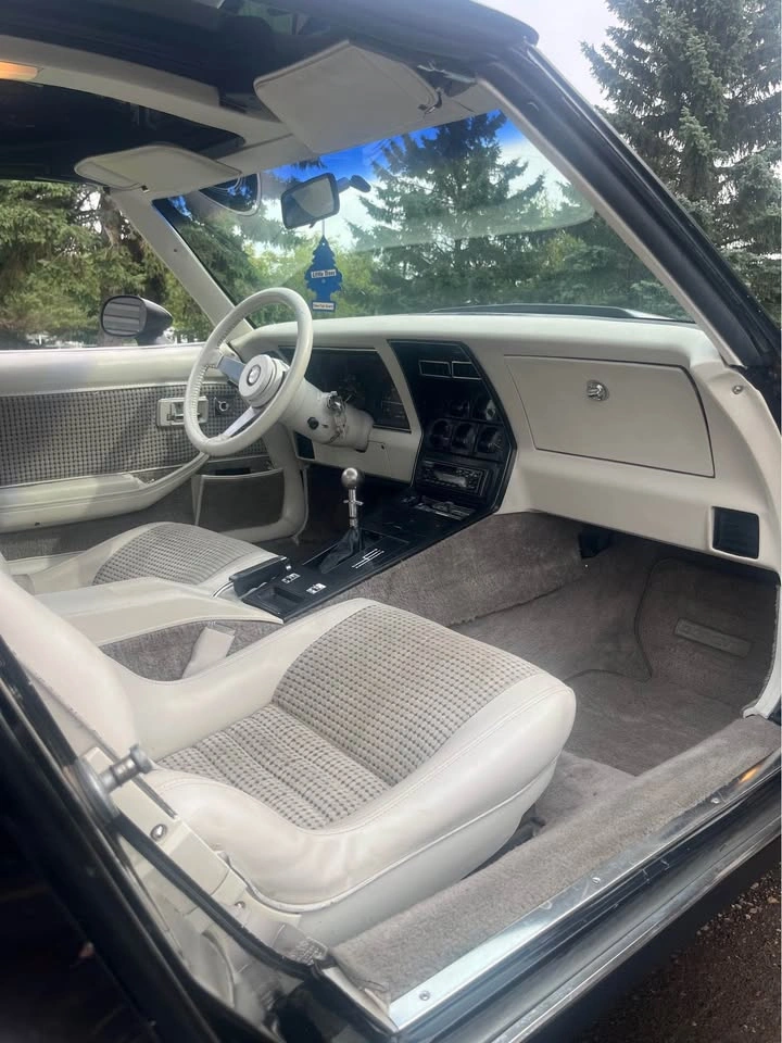 1979 Chevrolet Corvette - photo 5