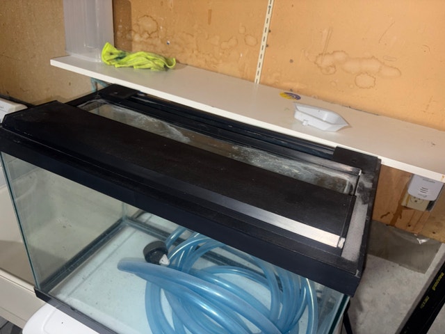 20-Gallon Fish Tank with Python Water Changer - photo 4