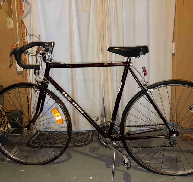 Free Spirit 12-Speed Road Bike