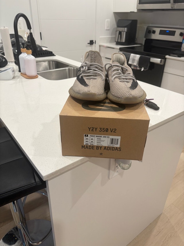 Adidas Yeezy Boost 350 V2