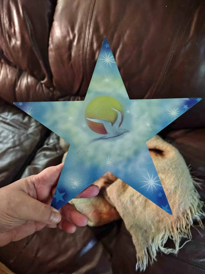 Metal Painted Star Art