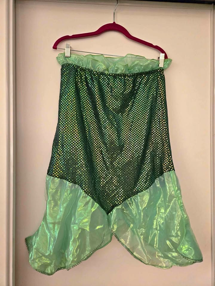 Mermaid / Ariel Costume Set! 🧜‍♀️ - photo 2
