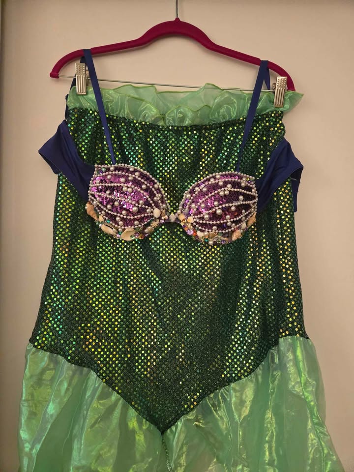 Mermaid / Ariel Costume Set! 🧜‍♀️