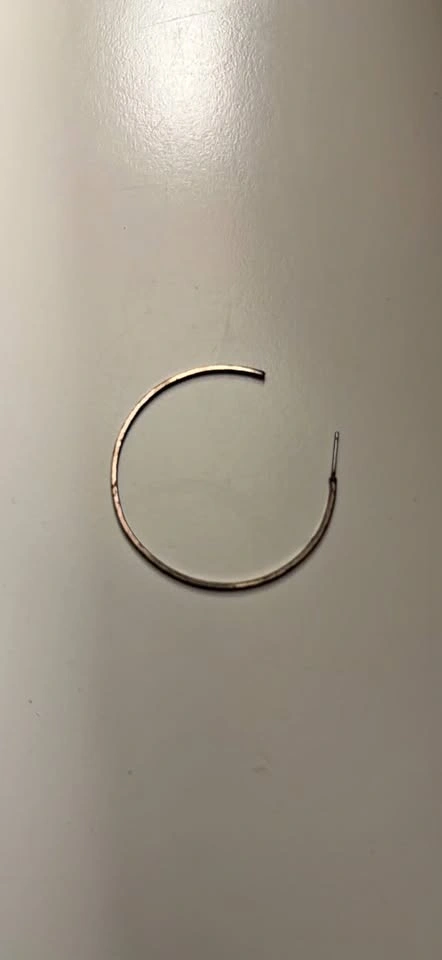 Hoop Earring