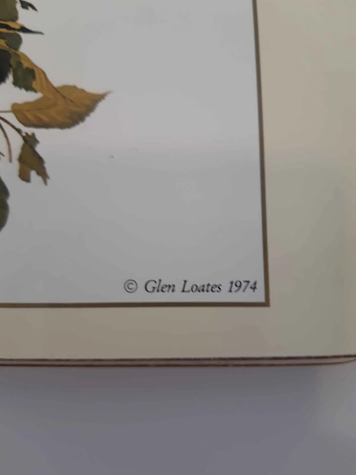 Vintage Glen Loates Bird Placemats 6 - photo 3