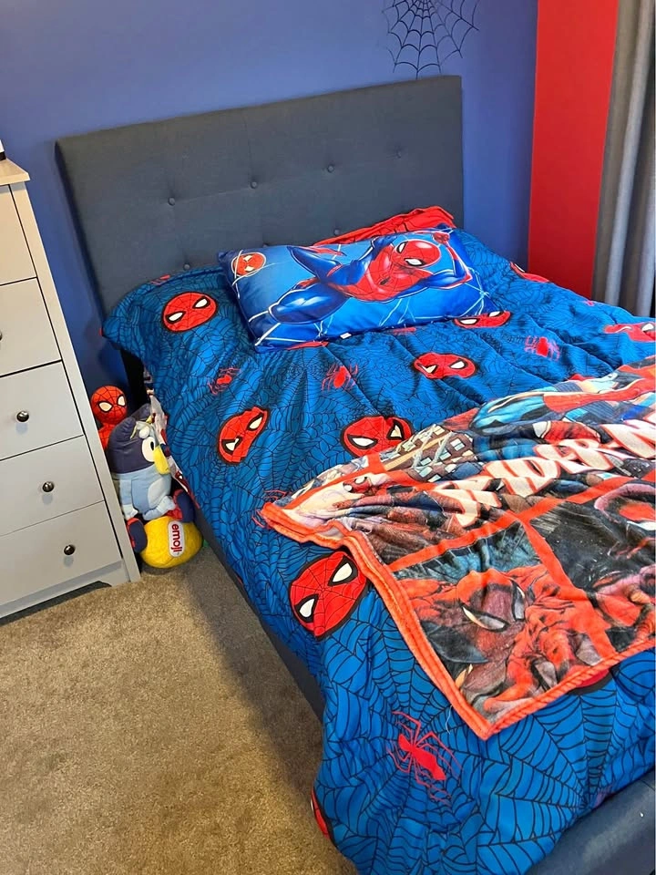 Double Bed Frame + Mattress/Box Spring