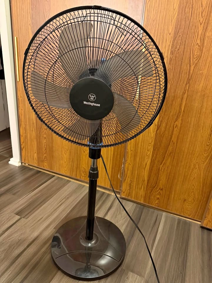 Fan