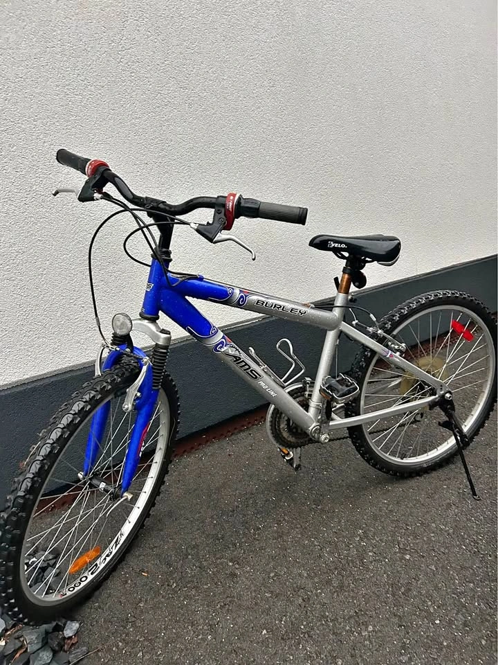 Burley AMS Pro Line Mountain Bike
