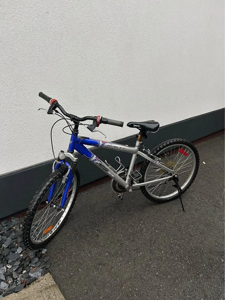 Burley AMS Pro Line Mountain Bike - photo 2