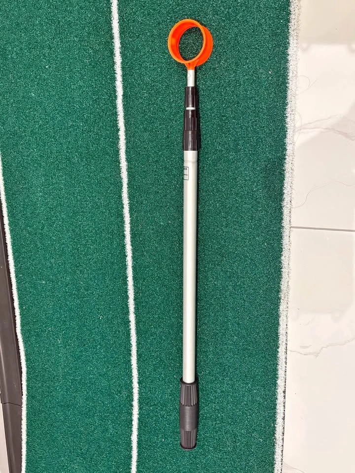 Golf Ball Lake Retriever