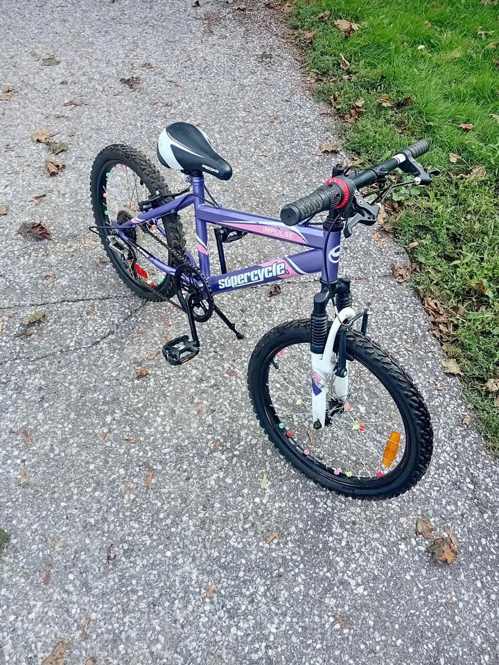 20 inch girls 5 speed mountain bike