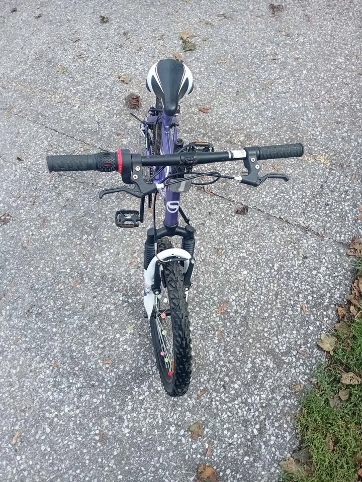 20 inch girls 5 speed mountain bike - photo 2