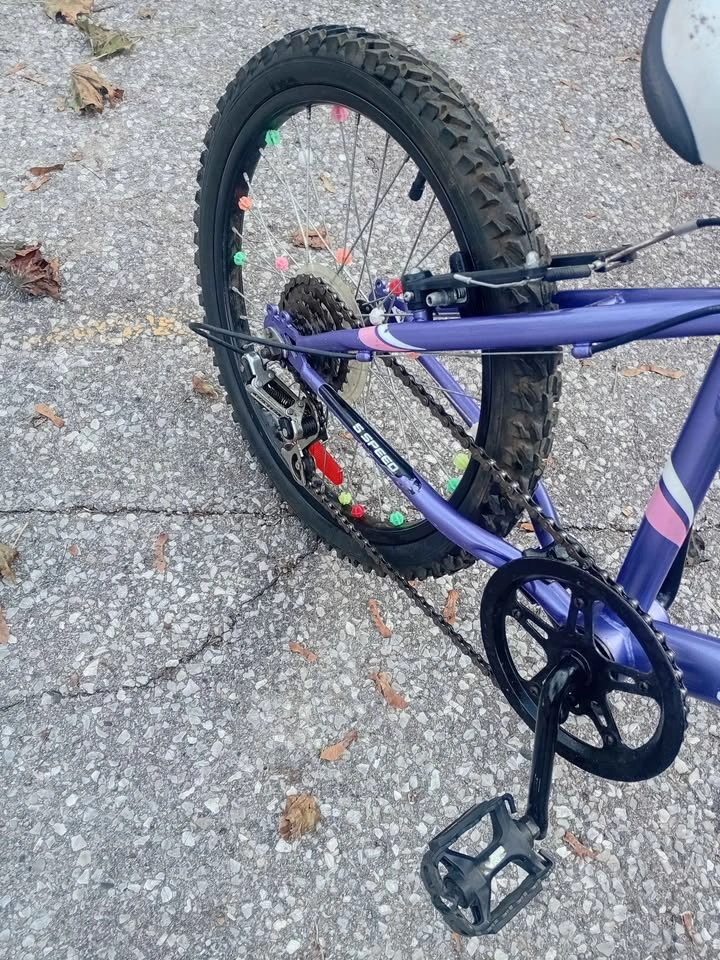 20 inch girls 5 speed mountain bike - photo 3