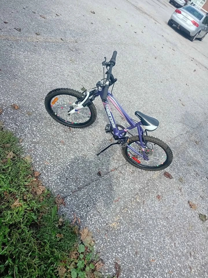 20 inch girls 5 speed mountain bike - photo 4