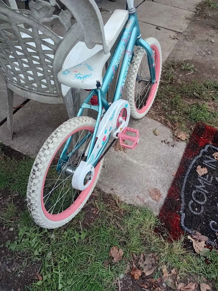 Razzle Girls kids bike 18 inch - photo 4