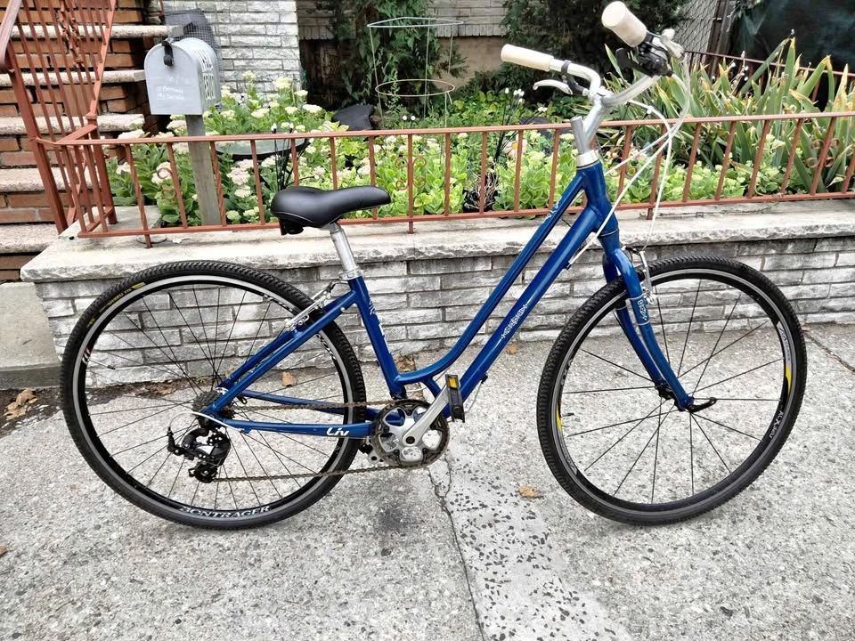 Liv European Style Bike