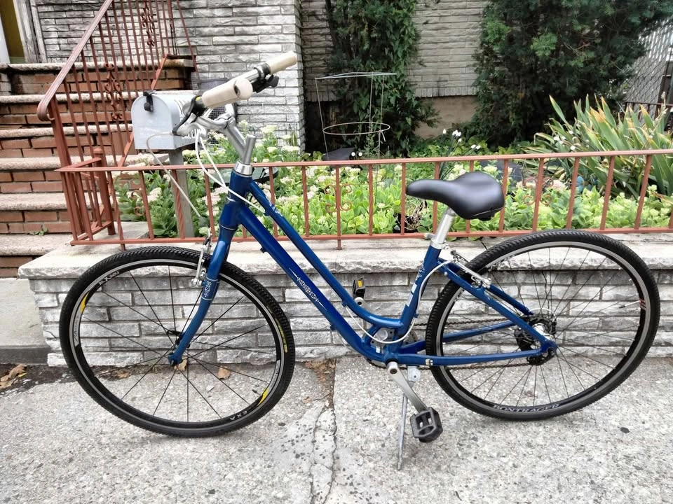 Liv European Style Bike - photo 2