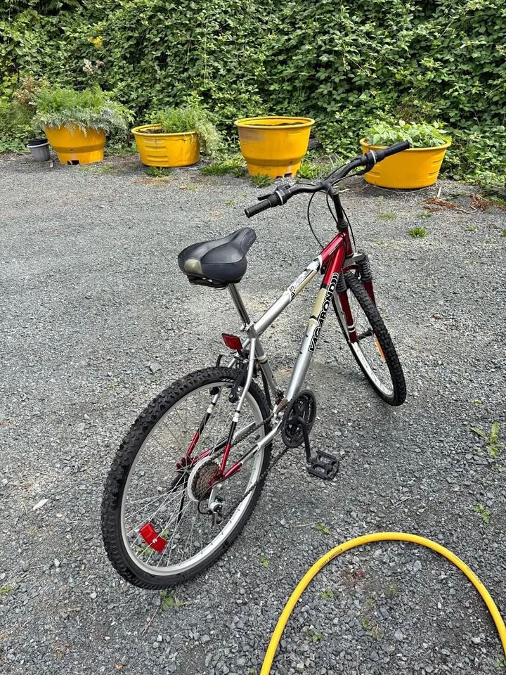 Men’s 2600D Vagabond mountain bike
