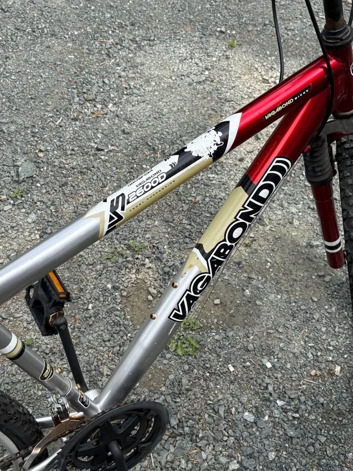 Men’s 2600D Vagabond mountain bike - photo 2