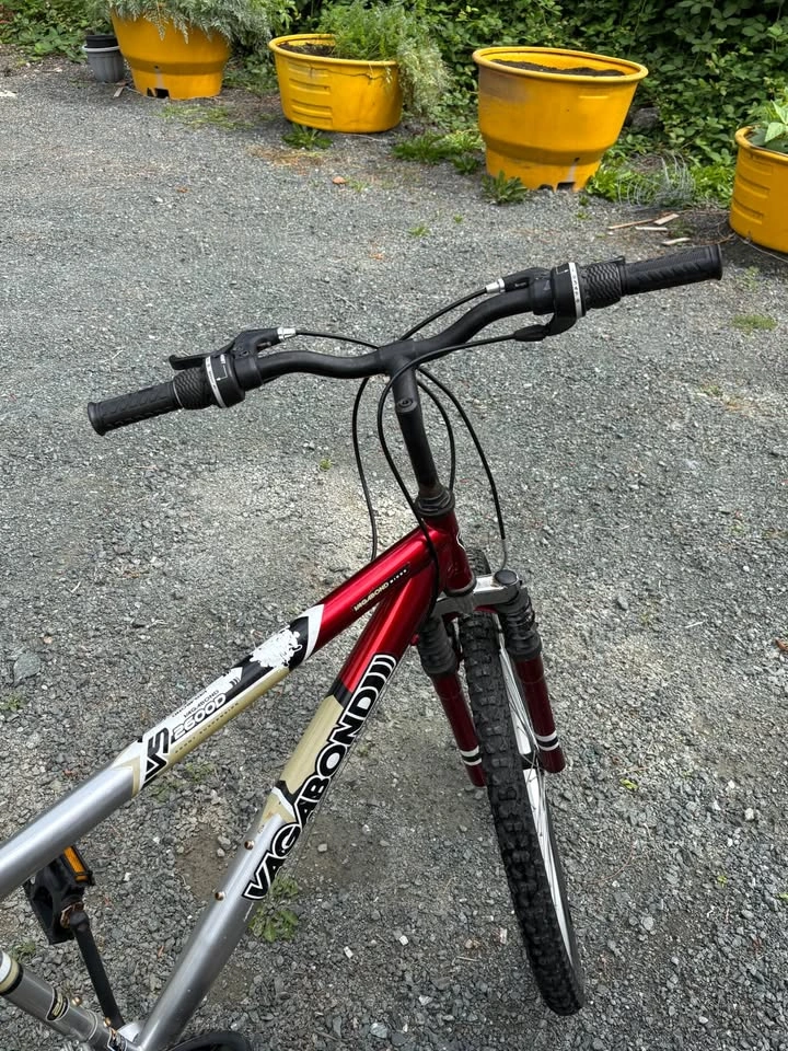 Men’s 2600D Vagabond mountain bike - photo 3