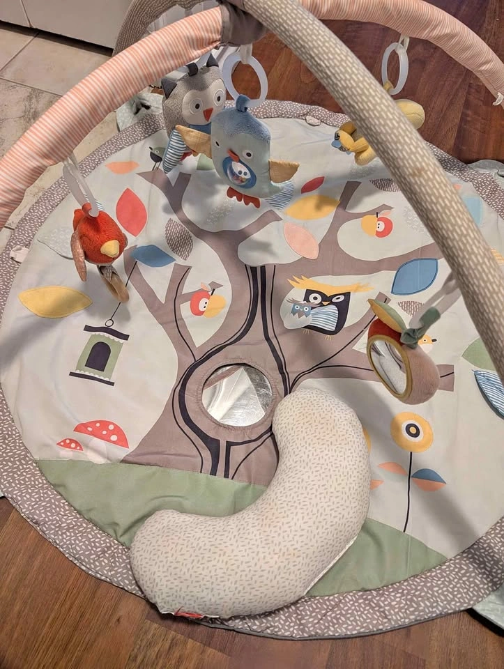 Skip Hop Treetop Friends Baby Activity Gym