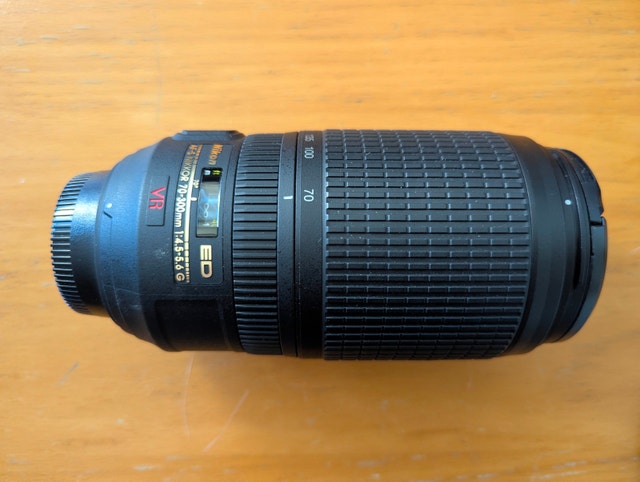 Nikon D300 Camera + Nikon 70-300mm ED + Nikon 17-55mm f/2.8 DX - photo 5