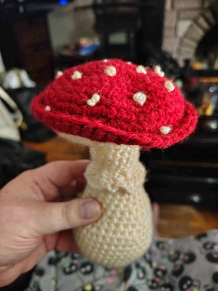 Crochet Mushroom