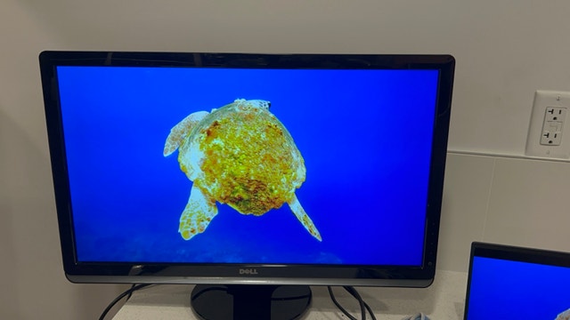 Dell 24” HDMi Monitor || Working Perfectly