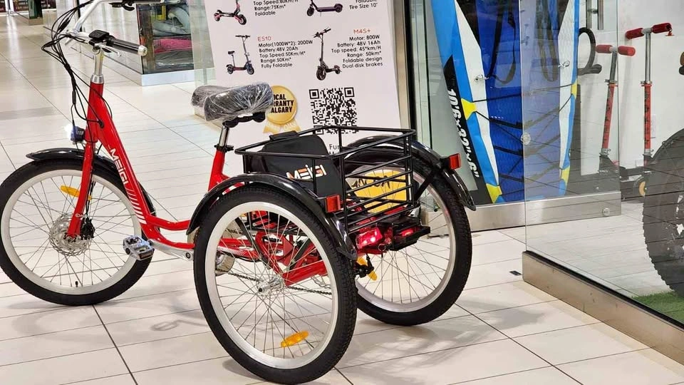 Electric Trike 350 - 500W