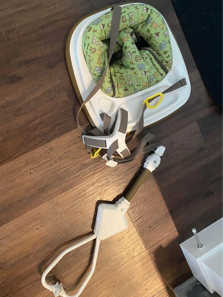 Baby bouncer and Snugapuppy