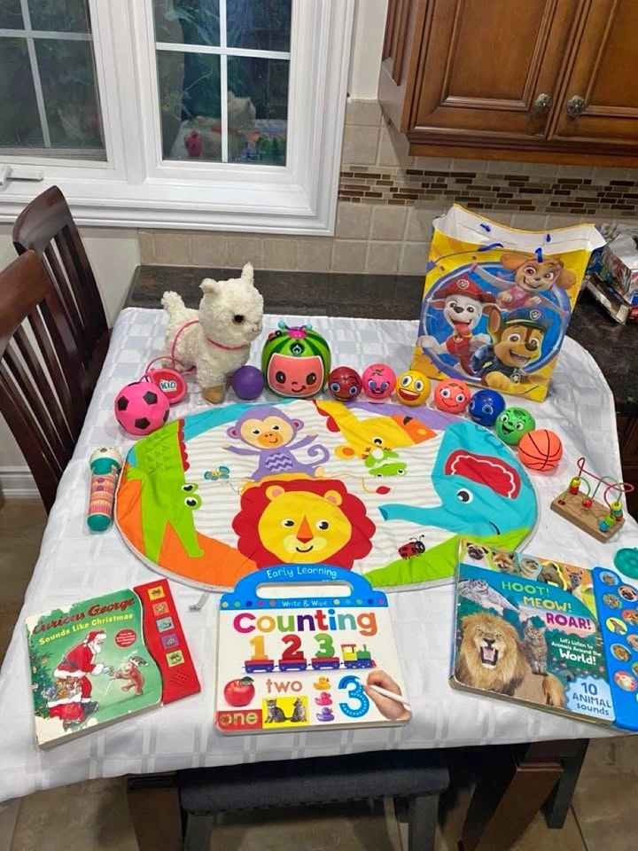 Used Toys Bundle