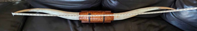 57" Authentic Longhorn Steer Horns