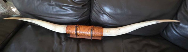 57" Authentic Longhorn Steer Horns - photo 4