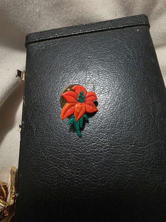 Canadian Collector Lapel Pins – Sask - photo 5