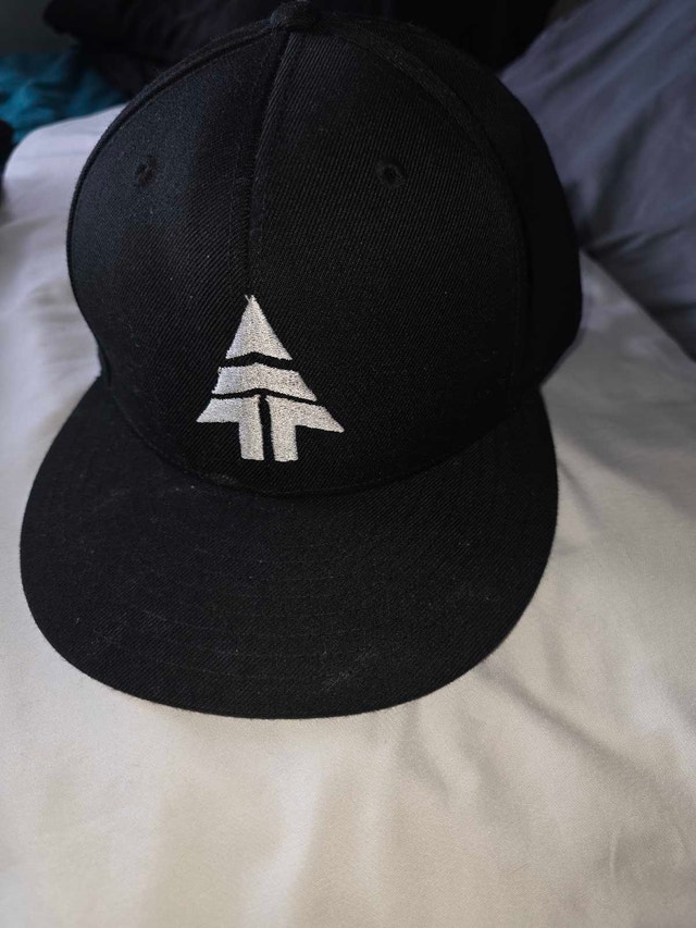 LIKE NEW Lids Tree Logo Cap