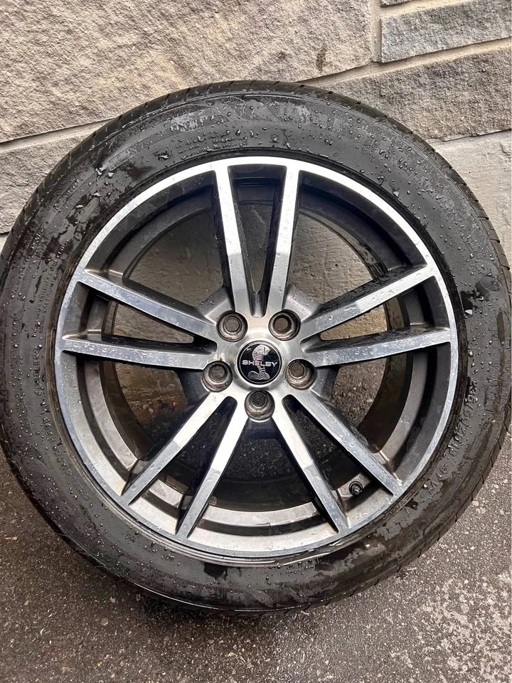 SUMMER TIRES ON MUSTANG RIMS