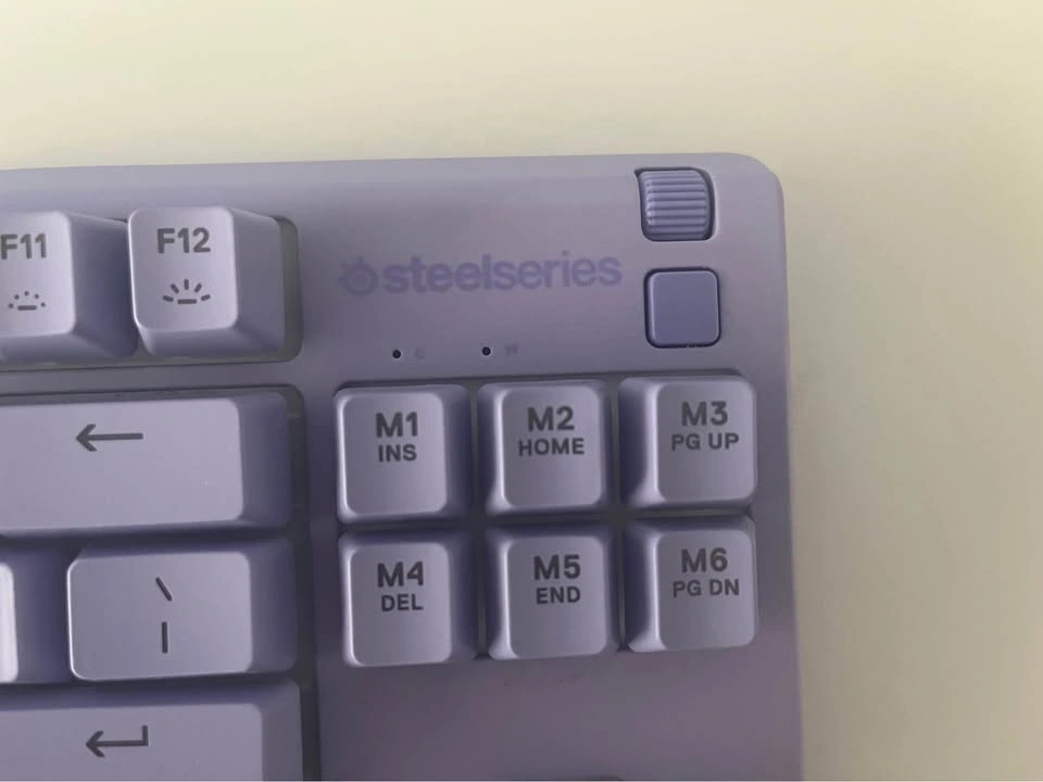 SteelSeries Apex 3 TKL Lavender RGB Gaming Keyboard - photo 4