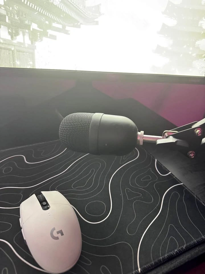 Razer Seiren Mini Microphone with Desktop Boom Arm