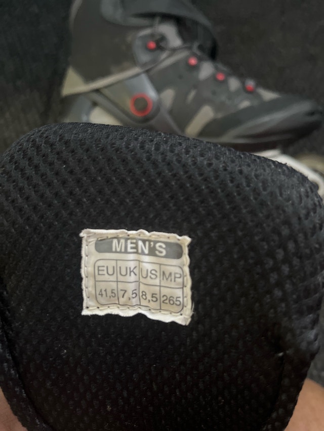 Tecnica Big 8000 Roller Blades - photo 2
