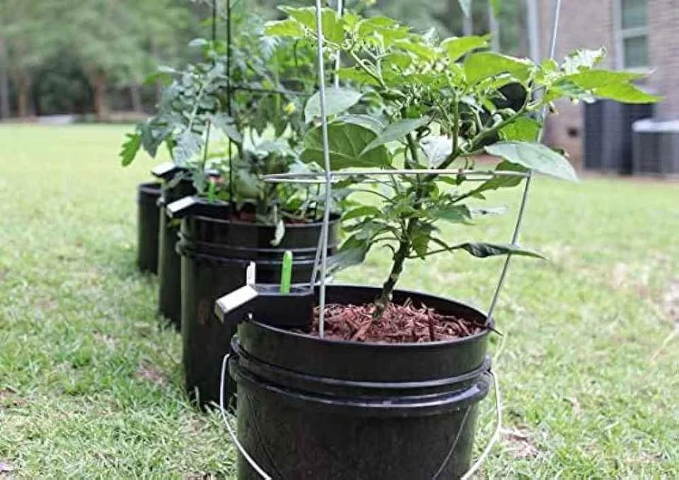 BNIB 3 Pack Self-Watering Insert GroBucket - photo 2
