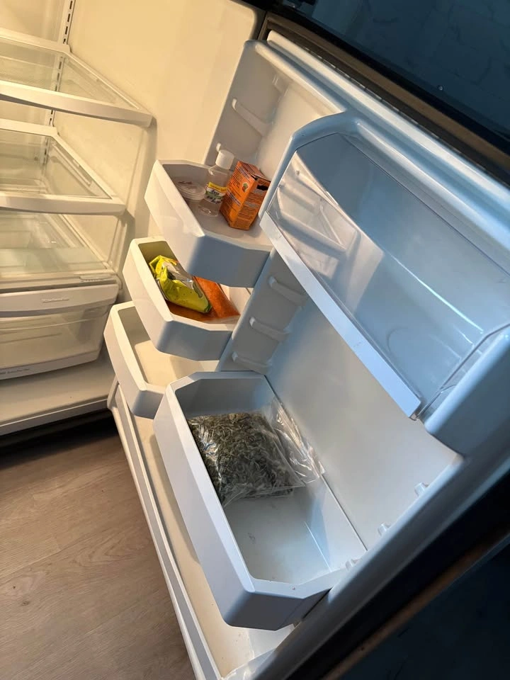 Frigidaire 17.8-inch 3.1 cu. ft. Standard Depth Platinum Refrige - photo 3
