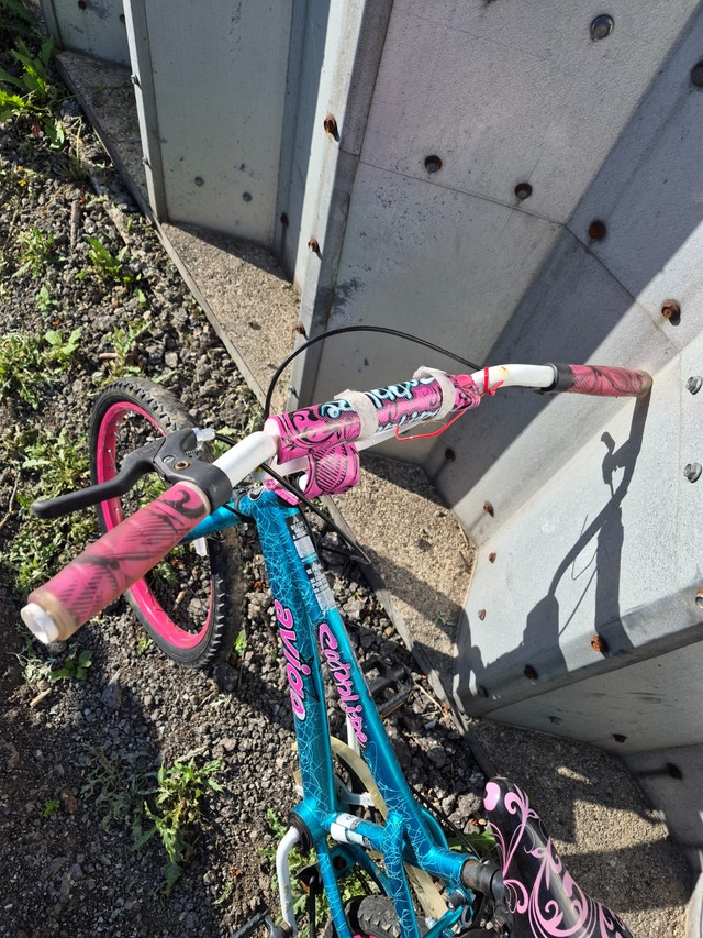 20'' Wheel blue pink Bike BMX single gear Avigo Sapphire - photo 3