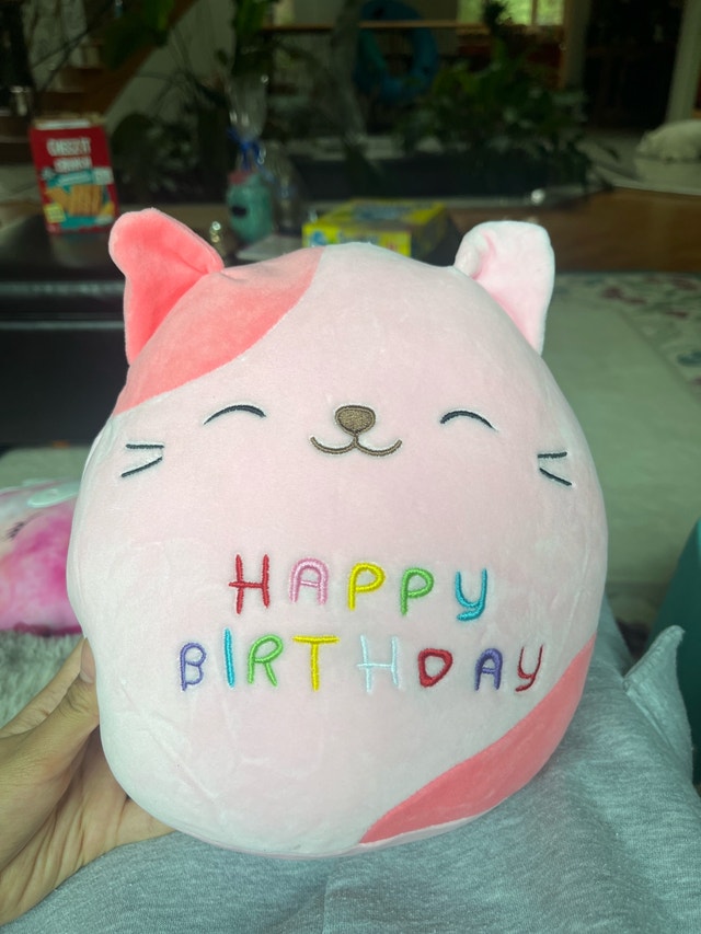 Squishmallows Birthday Cat Plush