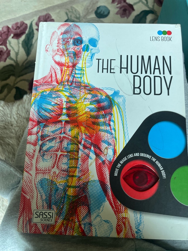 Sassi Science The Human Body Lens Book