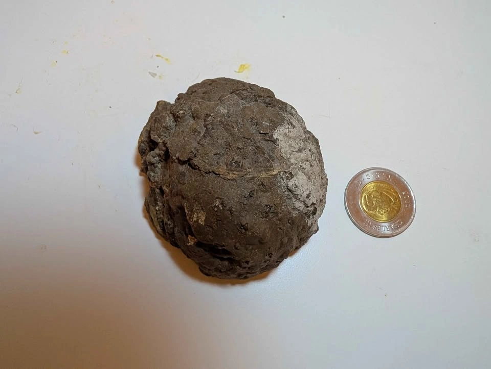 Oregon Thunder egg - photo 2