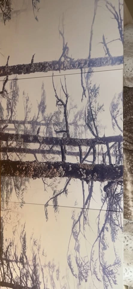 *NEW IN BOX* Triptych Nature Wall-Art - photo 3